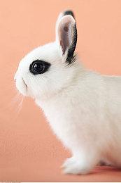 克苏鲁风恐怖冒险游戏《Eresys》4月21日登陆Steam